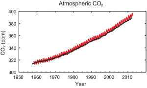 Figure.1 Atmospheric carbon dioxide (CO2) levels from 1950-2010 (IPCC, 2013)
