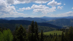 Colville National Forest – a splendour of natural beauty (Source: USDA).