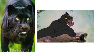 The region’s famous Black Panthers (left), or rather, melanistic Indochinese Leopards (AKA, Bagheera (right)), are struggling, having lost 93% of their Asian habitat (Hance, 2016).  Image credit: (left) Tambako via Flickr, (right) Disney