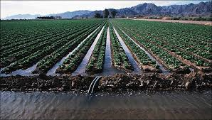 blog-irrigation