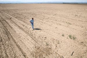 A sunny day on a Californian beach? Not exactly… This is Californian farmland suffering from a severe drought – completely unusable!