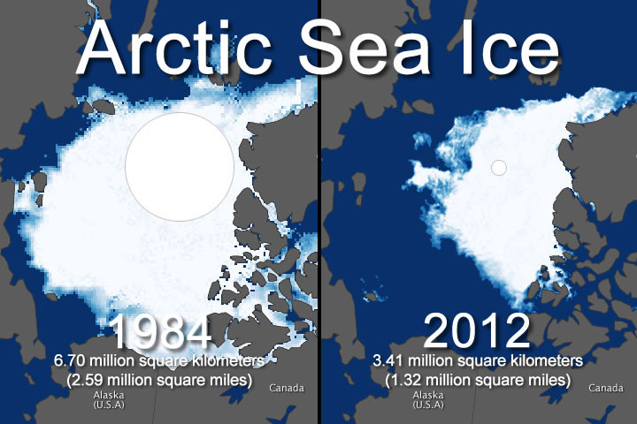 With a 0.48°C increase in global temperatures between 1984 and 2012, Winter ice cover in the arctic saw an almost 50% decrease. Check out this GIF from NASA for a better idea: http://photojournal.jpl.nasa.gov/archive/PIA14385.gif 