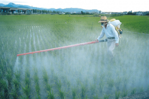 Application of pesticides to a monoculture crop in an attempt to control pest population. Photo credit Unknown. Available at: http://sitn.hms.harvard.edu/flash/2015/gmos-and-pesticides/
