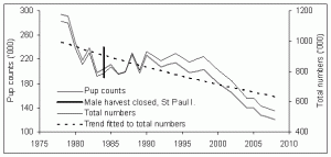 Pup counts and the total number of Northern Fur Seal between 1978 and 2008. The decrease in total pup counts (000's) is notable. (COSEWIC Assessment and Status Report on the Northern Fur Seal in Canada, 2010)