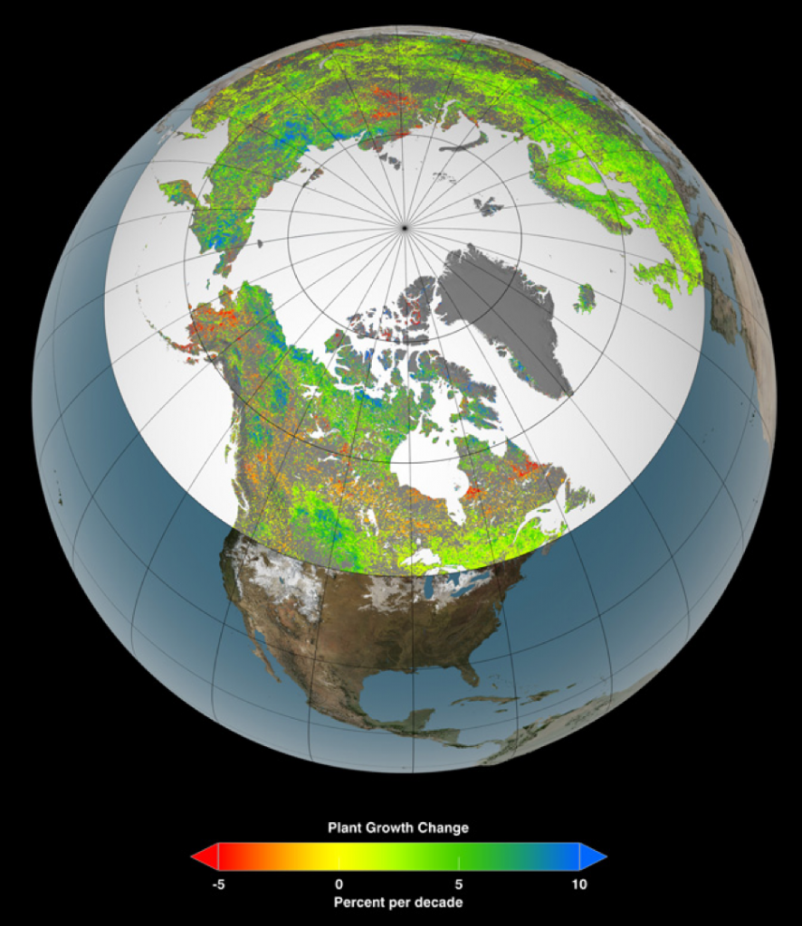 The Arctic region of interest covers an area of 10 million square miles. The average rate of greening has been identified as 29.4%. Some areas highlighted in green and blue showed a percentage growth of 34-41%. The areas identified in orange and red experienced a decrease in greening by 3 to 5%. These images were developed from the information gathered by MODIS satellite instruments (Hansen et al., 2013). 