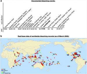 Figure 4ab: Documented case studies of worldwide bleaching. Since the early 1980s, episodes of coral reef bleaching and mortality, due to climate-induced ocean warming, have occurred almost annually with increased frequency and intensity. Africa remains to be an outlier and yet to report a coral bleach event. Source: Baker, Glynne and Riegl, 2008. 