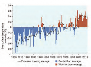 Figure 2: Sea surface temperature anomalies for the Coral Sea, 1900-2013, using 1961-1990 average as a baseline. Source: Great barrier reef marine park authority, 2014