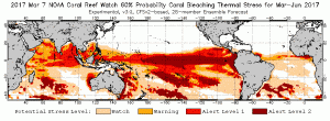 Figure 5: The NOAA coral reefs watch indicates bleaching heat stress continues to build. There is a 60% chance that the displayed heat stress levels will occur. Multiple coral reefs are experiencing Alert Level 1 and Alert Level 2 bleaching stress (associated with widespread coral bleaching and significant mortality). Source: https://coralreefwatch.noaa.gov/satellite/analyses_guidance/global_coral_bleaching_2014-17_status.php 