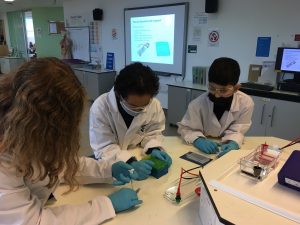 Great to see young people getting hands on with science 