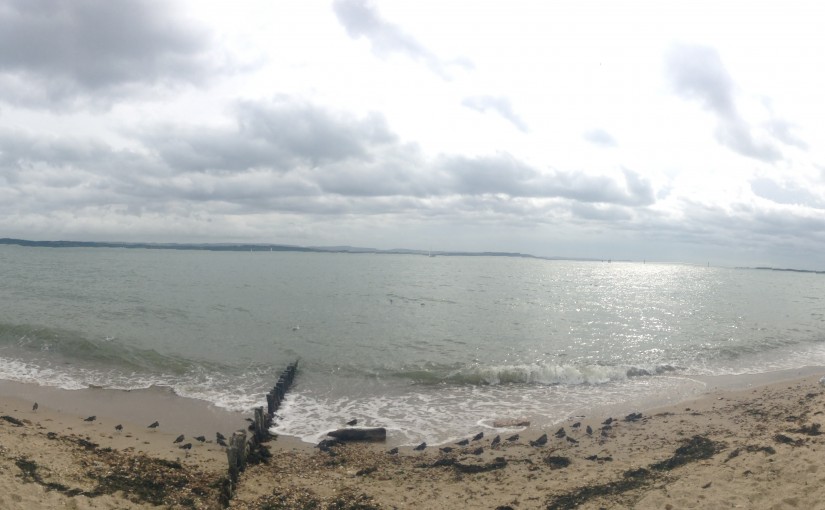 The Isle of Wight from Lepe