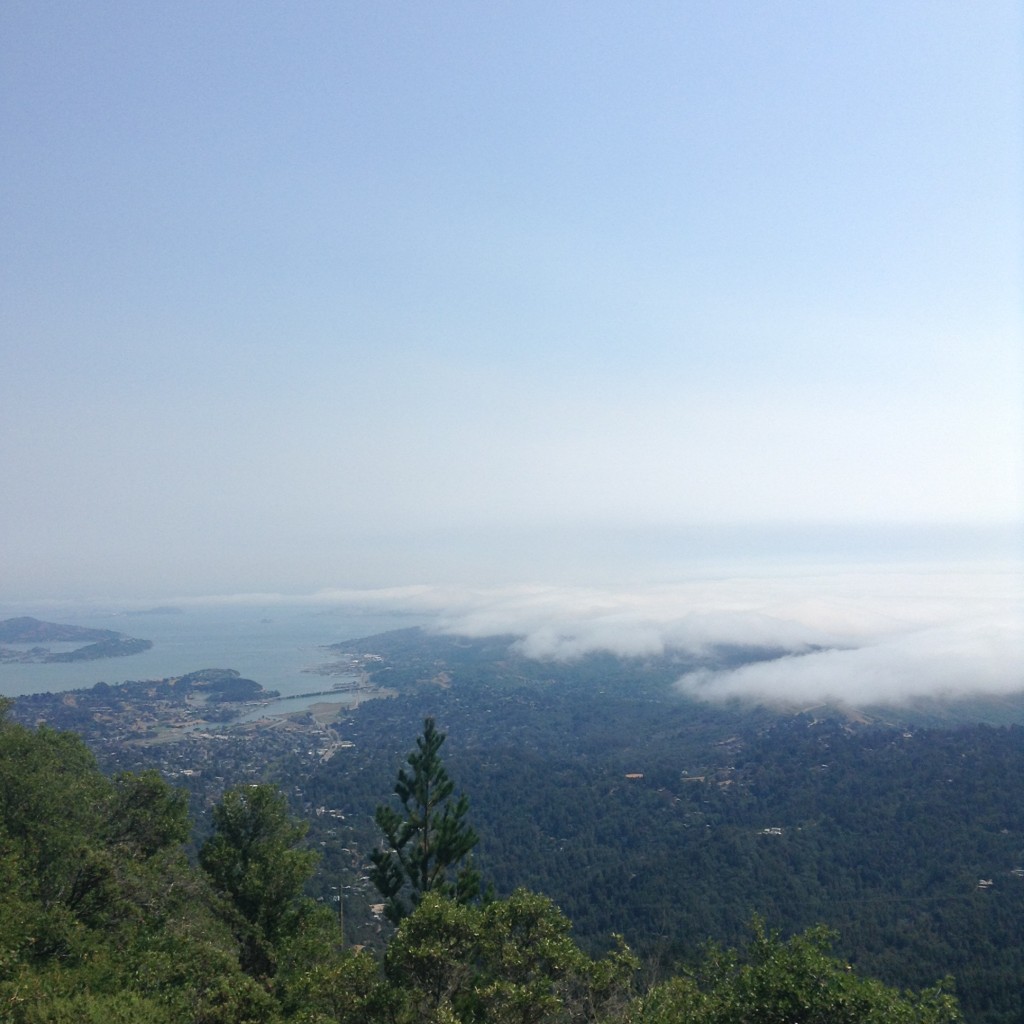 Getting above the clouds, west peak of Mount Tamalpais.