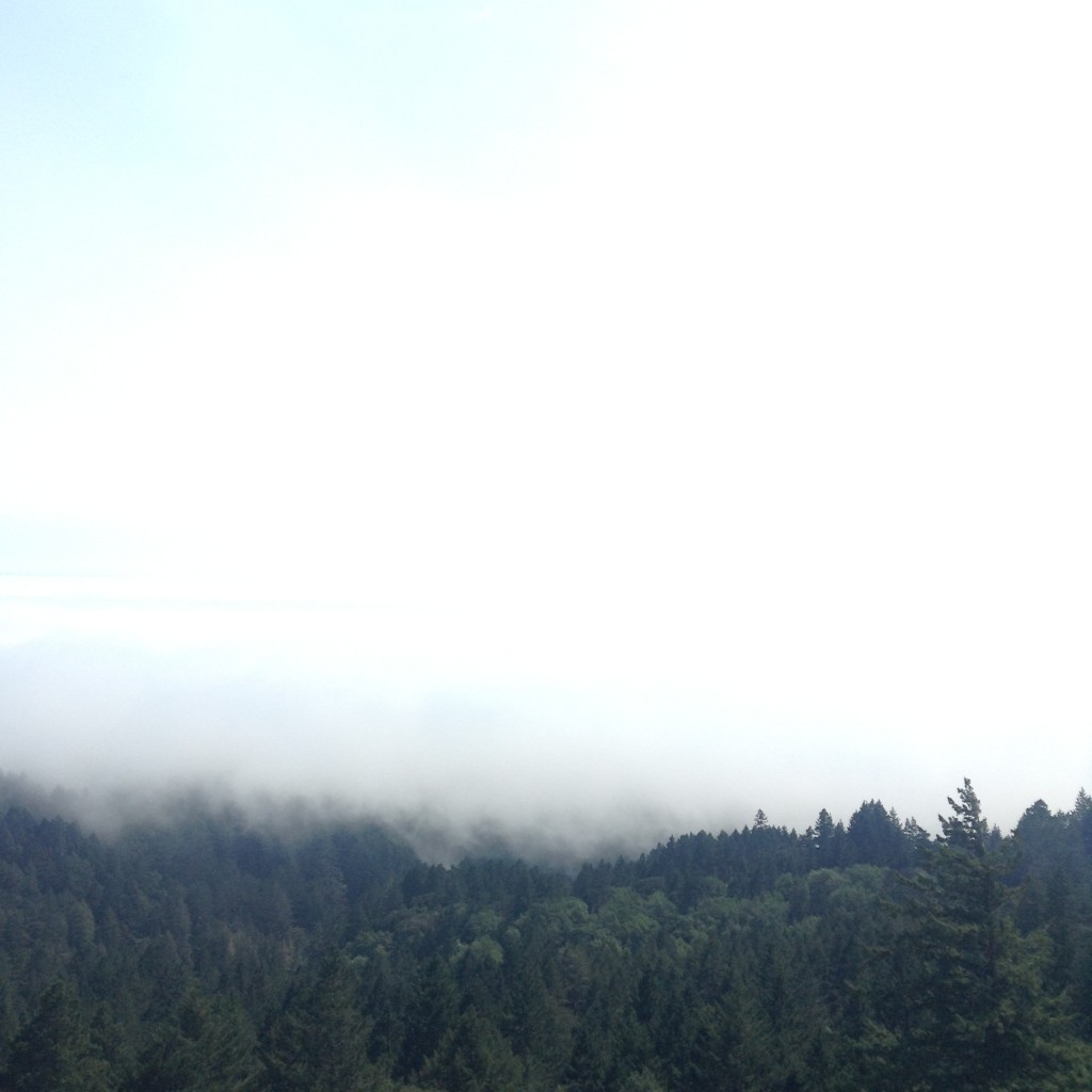 Just getting above the clouds near Stinson Beach.
