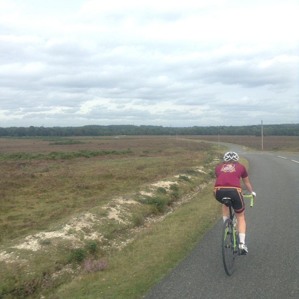 Over the Heath to Ipley cross, New Forest National Park
